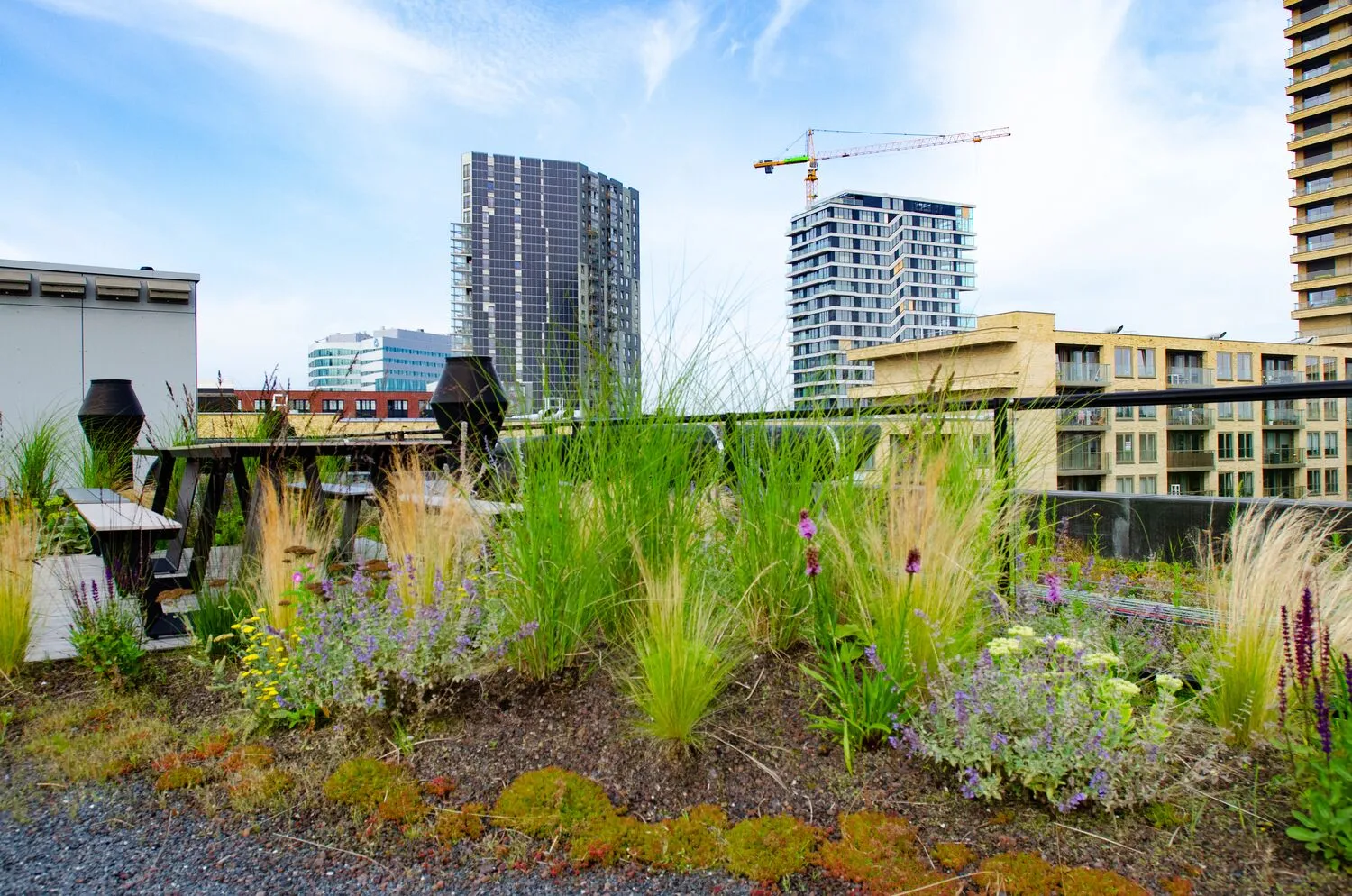 Estrategias innovadoras para refrescar las ciudades en verano